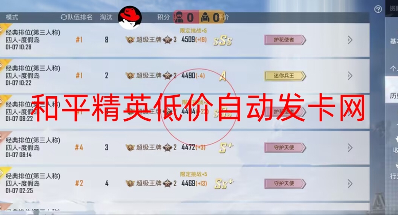 和平精英低价自动发卡网-新赛季和平内部稳定直装【玫